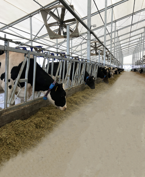 1677476726881201.png image.png